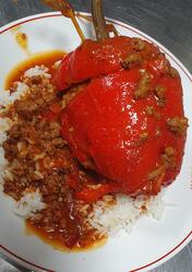 sourceDir.ToLower() + 