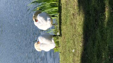 sourceDir.ToLower() + 